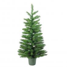 Potted Christmas tree